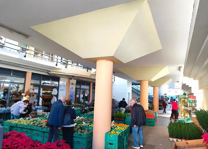 Ribeira Brava Studios Apartamento